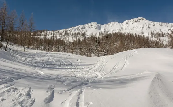 Snötäckta sluttning med skidspår och berg i ryggen — Stockfoto