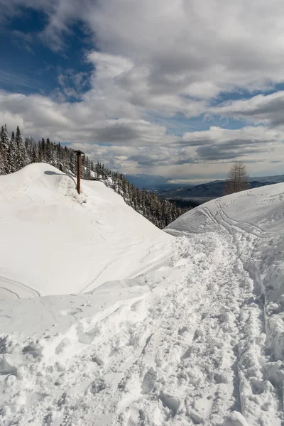 Karda yol — Stok fotoğraf