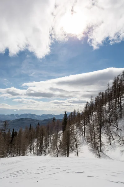 Ağaçlar ve bulutlar dağ yamacı — Stok fotoğraf