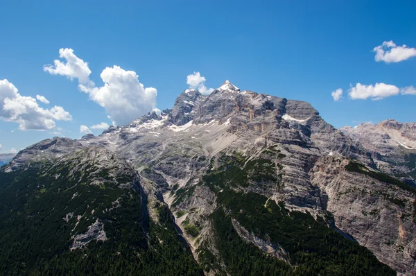 Montagna sopra la linea degli alberi — Foto Stock