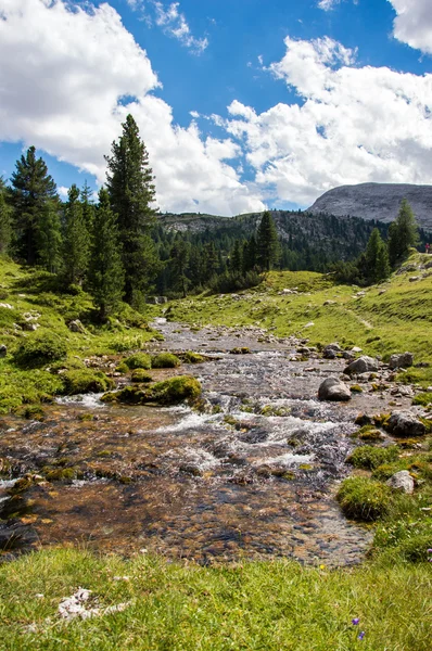 Dağ Akıntısı — Stok fotoğraf