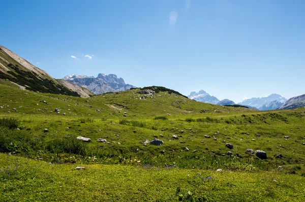 Pascolo di montagna — Foto Stock