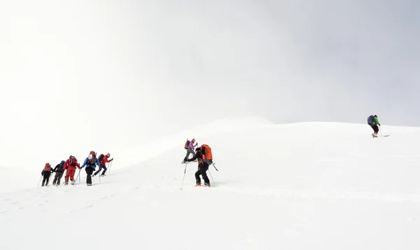 Backcountry skidåkare stigande ett berg — Stockfoto