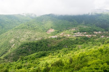 bir dağ yamacında Ormanla çevrili bir kenti 