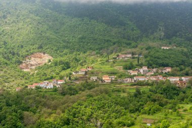 bir dağ yamacında Ormanla çevrili bir kenti 