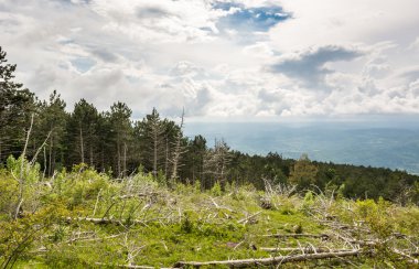 dağ orman, doğal park ucka, Istra, Hırvatistan
