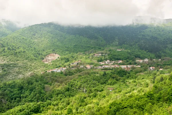 A town surrounded with forest on a mountain slope — Stock Photo, Image