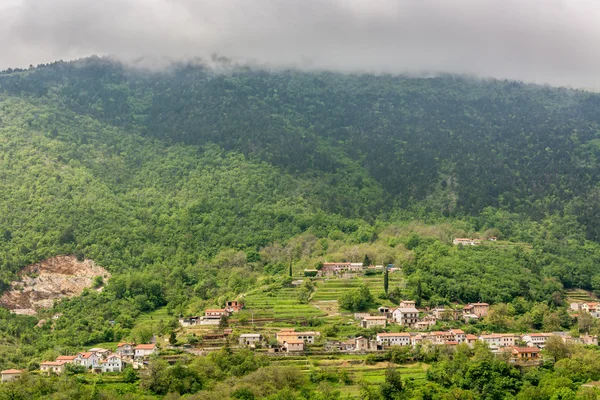 Eine von Wald umgebene Stadt an einem Berghang — Stockfoto