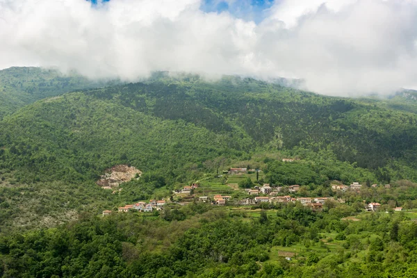 bir dağ yamacında Ormanla çevrili bir kenti