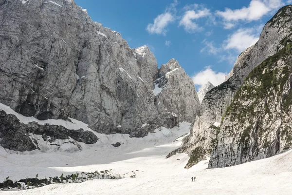 Alpina dal i vårsnö — Stockfoto