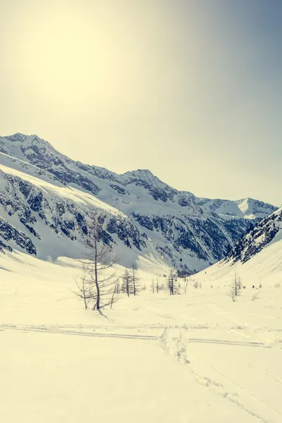 Valle della montagna — Foto Stock