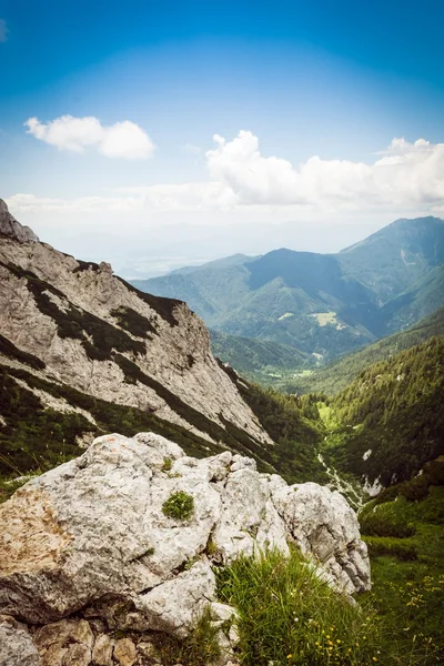 Vedere aeriană a unei văi montane — Fotografie, imagine de stoc