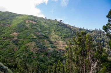 Spectacular mountain landscape covered with lush forest.