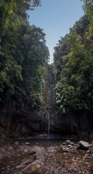 Spectacular forest waterfall surrounded with dense jungle. — Stockfoto