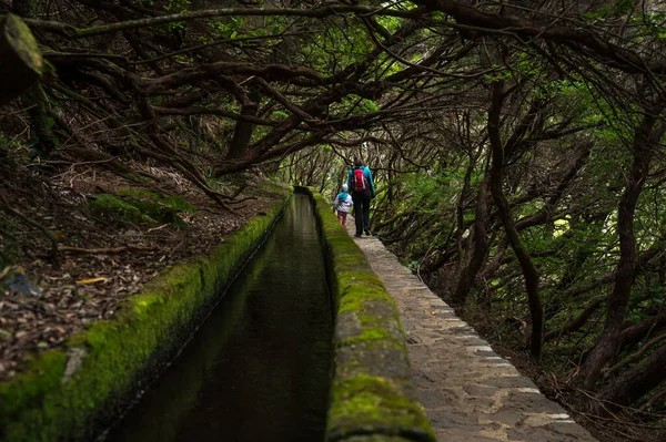 Mother and daughter walking along forest path. — Stock Photo, Image