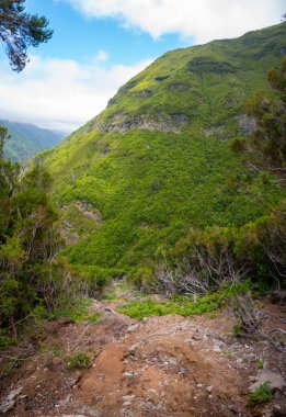 Spectacular mountain landscape covered with lush forest.