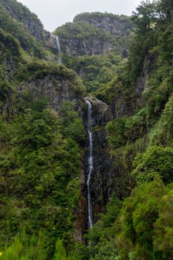 Spectacular double waterfall falling through jungle forest.