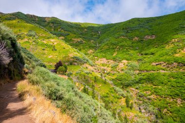 Spectacular mountain landscape covered with lush forest.