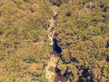 Ormanda akan nehrin manzarasını düşür.
