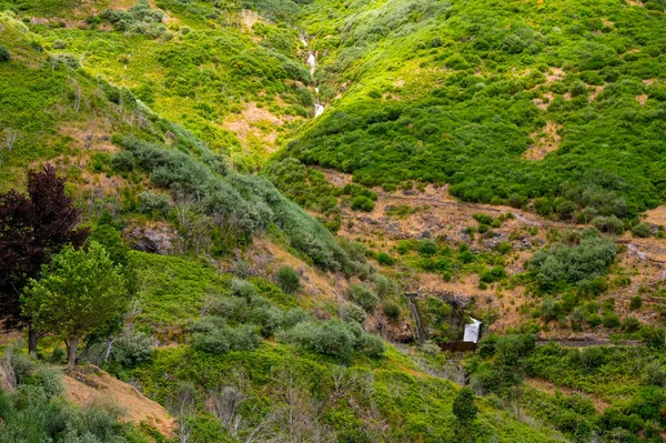 緑豊かな森に覆われた壮大な山の風景. — ストック写真