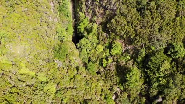 Съемка с воздуха захватывающей реки джунглей, падающей в водопад. — стоковое видео
