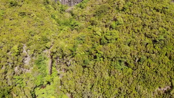 Imágenes aéreas del espectacular río de la selva cayendo en cascada. — Vídeo de stock