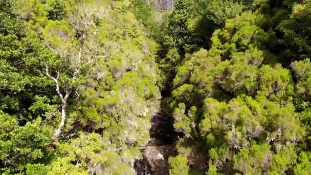 Zdjęcia lotnicze spektakularnej rzeki dżungli wpadającej do wodospadu. — Wideo stockowe