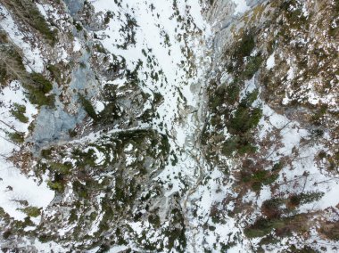 Kış ormanı boyunca akan bir dağ nehri manzarası..