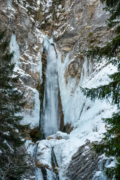 Paisagem de inverno de uma cachoeira congelada caindo na floresta. — Fotografia de Stock