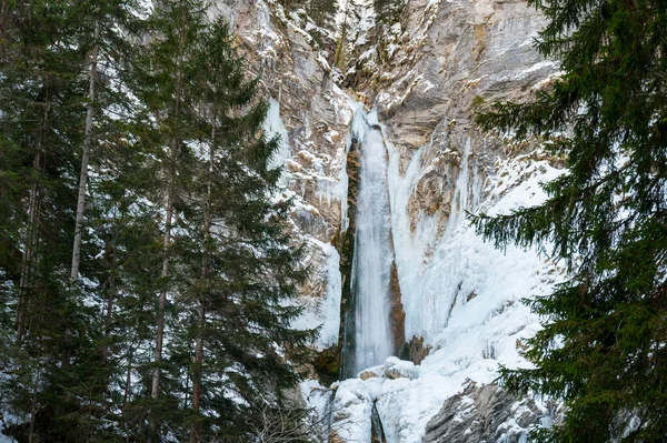 Vinterlandskap av ett fruset vattenfall som faller i skogen. — Stockfoto