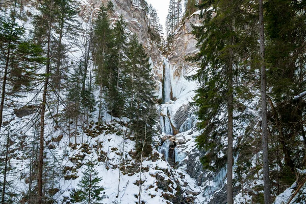 얼어붙은 폭포 가 숲 속으로 떨어지는 겨울 풍경. — 스톡 사진