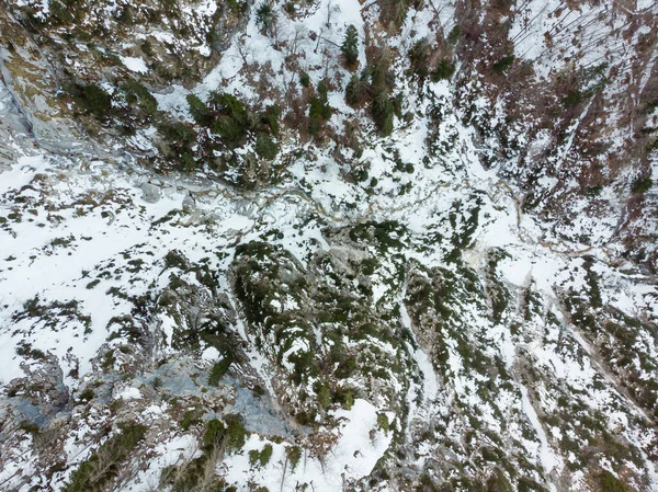 俯瞰一条流过冬季森林的山河. — 图库照片