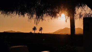 Arka plan, günbatımı modunda iki palmiye ağacı ve arka planda dağlar. Kanarya volkanik adası Lanzarote 'daki Timanfaya Dağları' nın sıcak altın renkleriyle çok güney havası.
