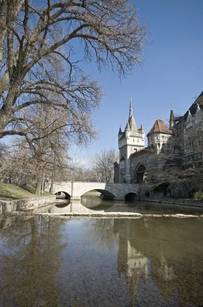 Castelo de Vajdahunyad — Fotografia de Stock