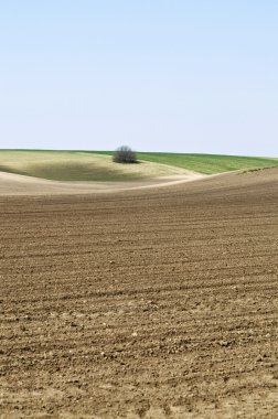 portre küçük gökyüzü manzara ekili
