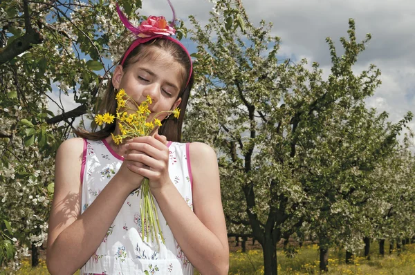 Menina no pomar azedo cereja cheirar flores — Fotografia de Stock