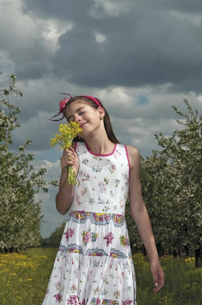 Menina no pomar azedo cereja desfrutar de flores — Fotografia de Stock