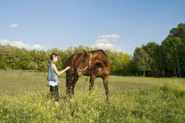 Cavallo in fattoria con ragazza — Foto Stock