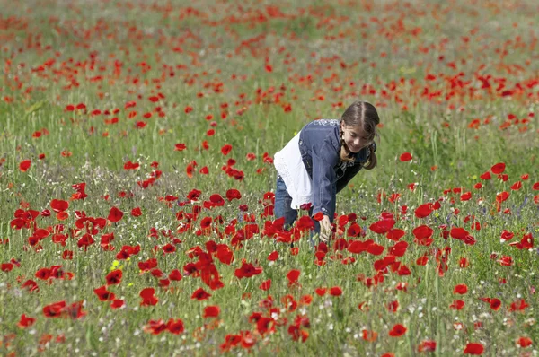 Ragazza con papaveri raccolta — Foto Stock