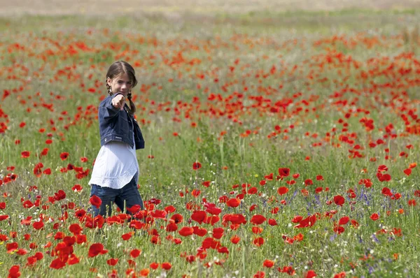 Poppies işaret eden kızla — Stok fotoğraf