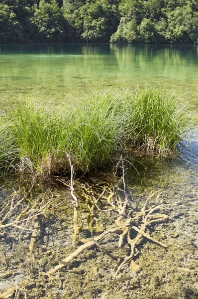 Нетронутое экологическое озеро — стоковое фото
