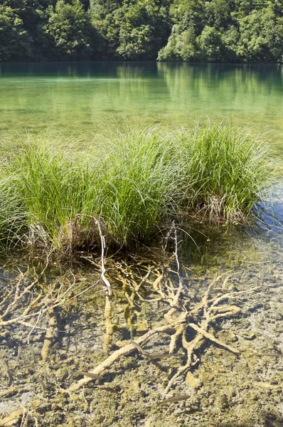 Ongerepte milieu lake — Stockfoto