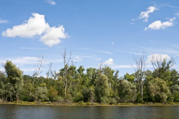 Sonnige Landschaft Flussufer horizontal — Stockfoto