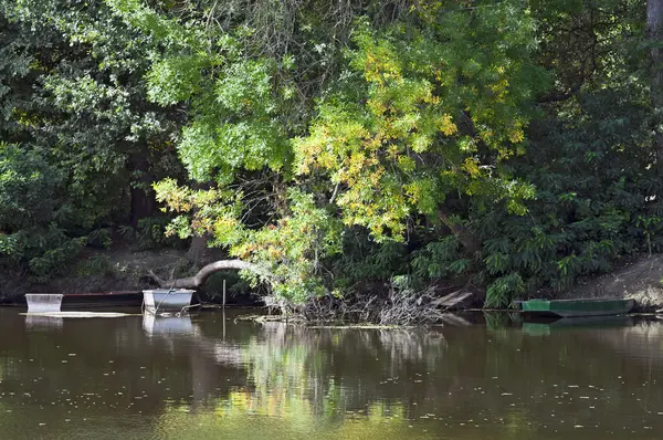 Zonnige herfst landschap rivieroever met boot — Stockfoto