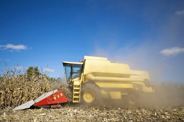 Corn harvesting dusty — Stock Photo, Image