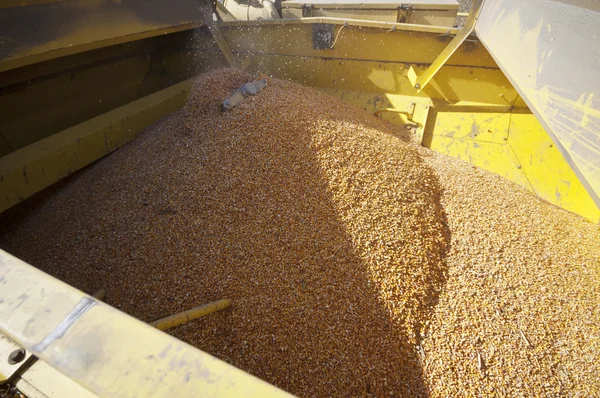 Corn harvester detail — Stock Photo, Image