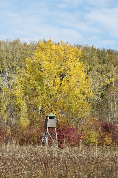 Осенний лес с вертикальной охотничьей стойкой — стоковое фото