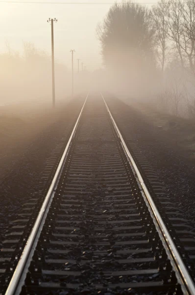 Caminhos-de-ferro em nevoeiro vertical manhã — Fotografia de Stock