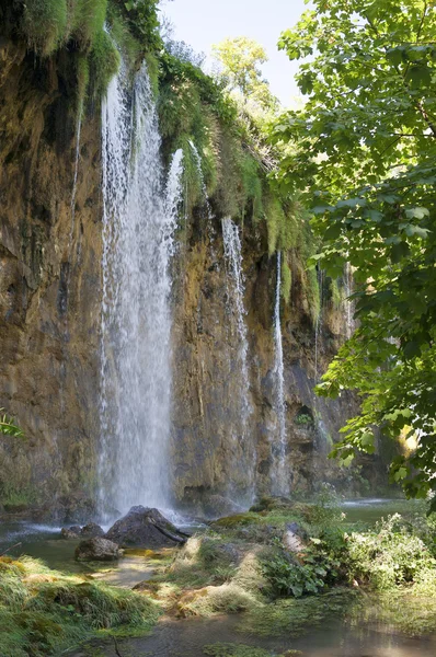 Gölgede şelale — Stok fotoğraf