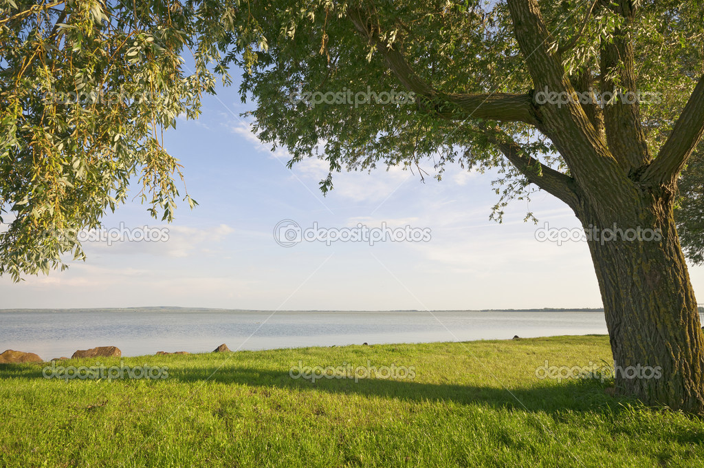 Paisaje con lago y un árbol verde — Foto de stock © Sziban #39935663